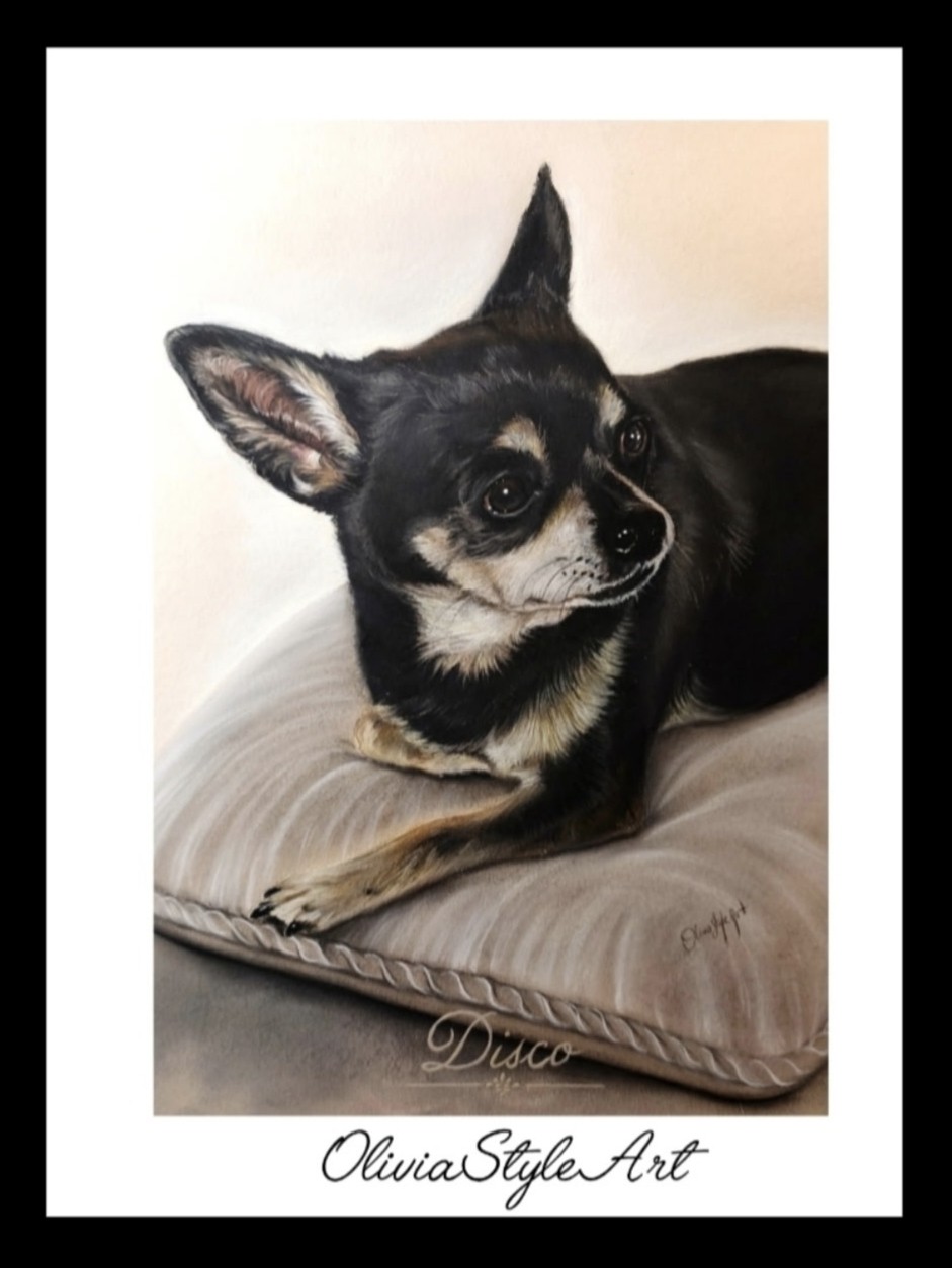Chihuahua