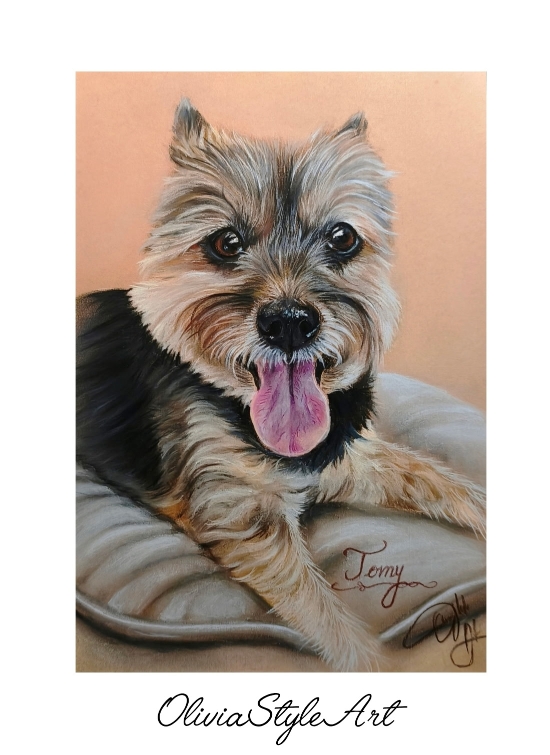 Portrait Tomy