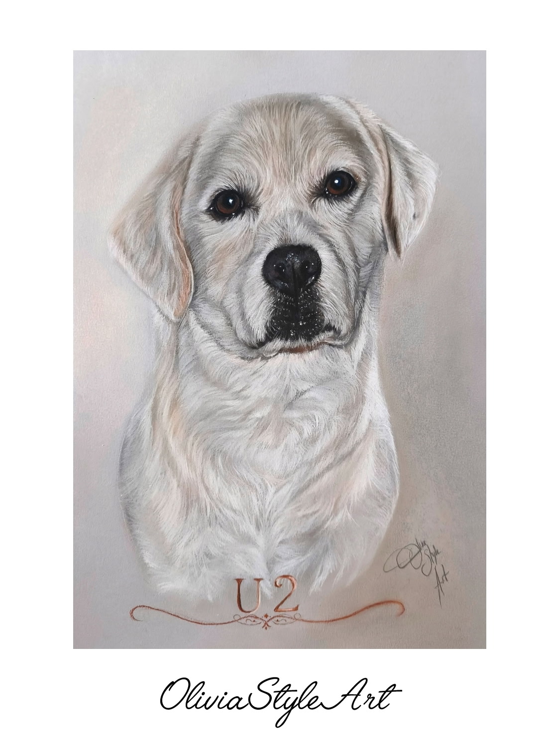 Labrador