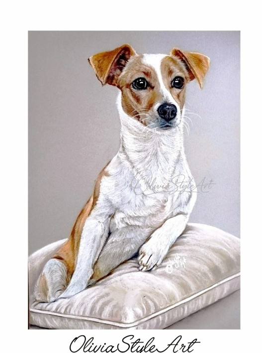 Portrait Jack Russell