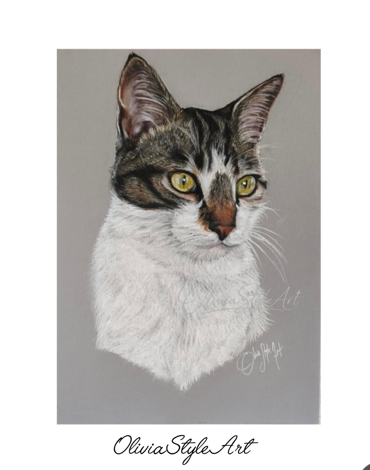 Portrait au pastel du même chat tigré et blanc, réalisé par Olivia Style Art
