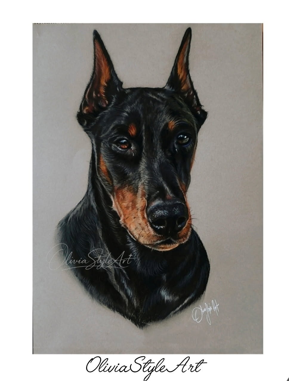 Portrait Doberman